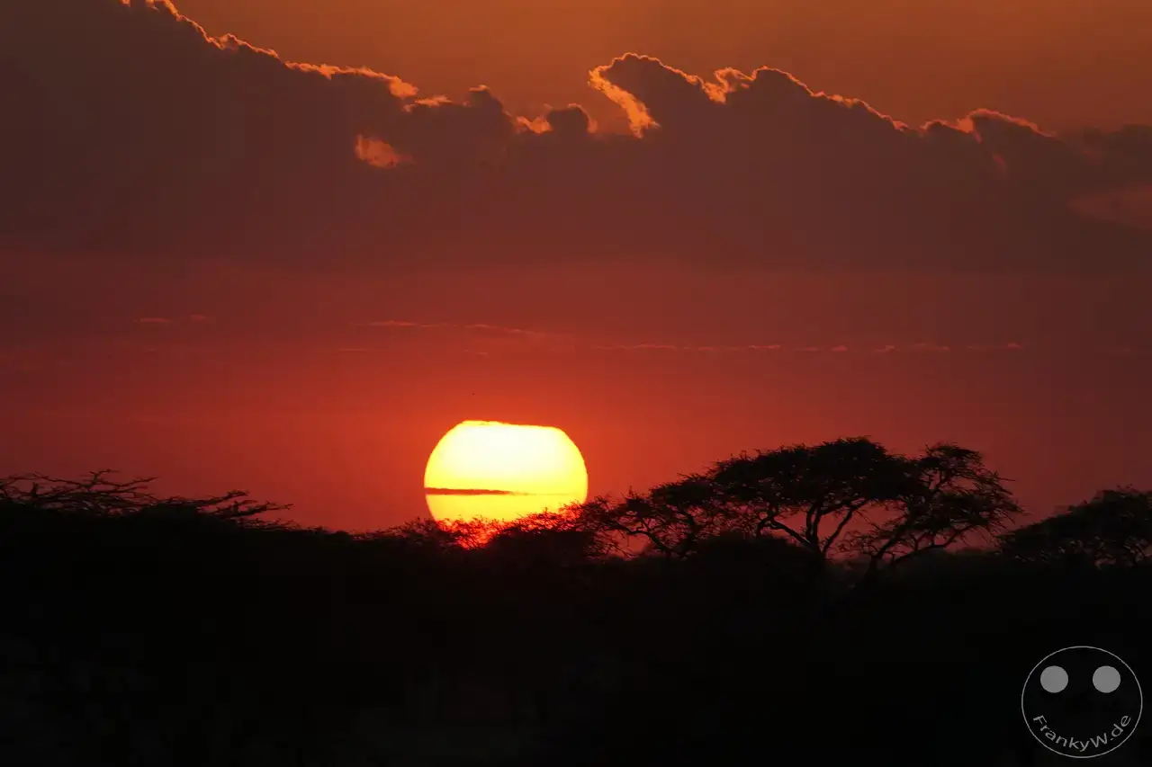 Tansania - Serengeti