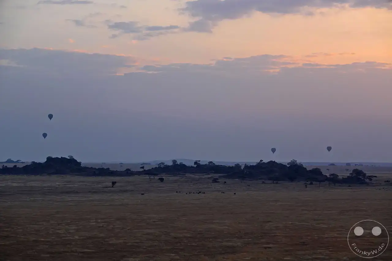 Tansania - Serengeti
