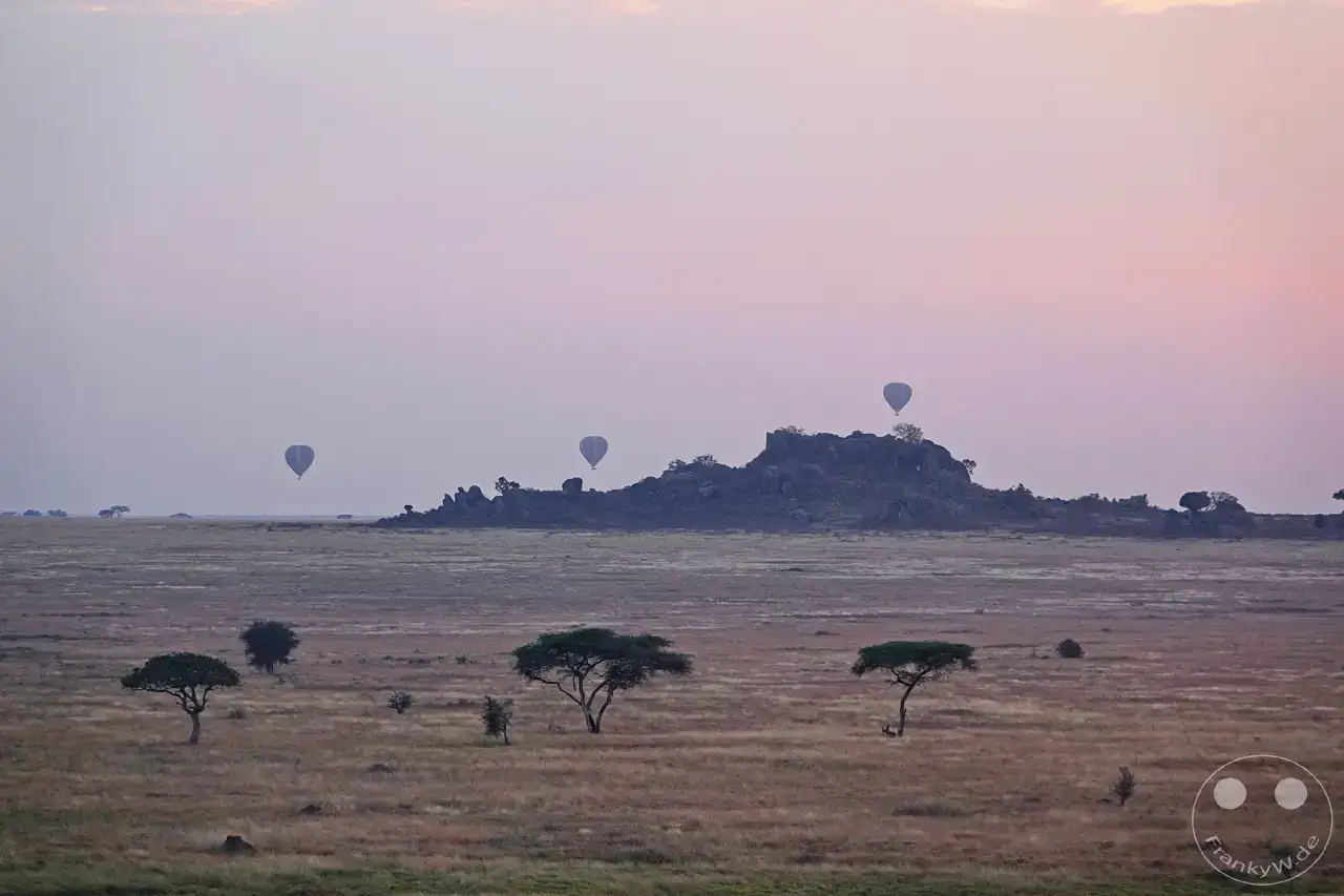 Tansania - Serengeti