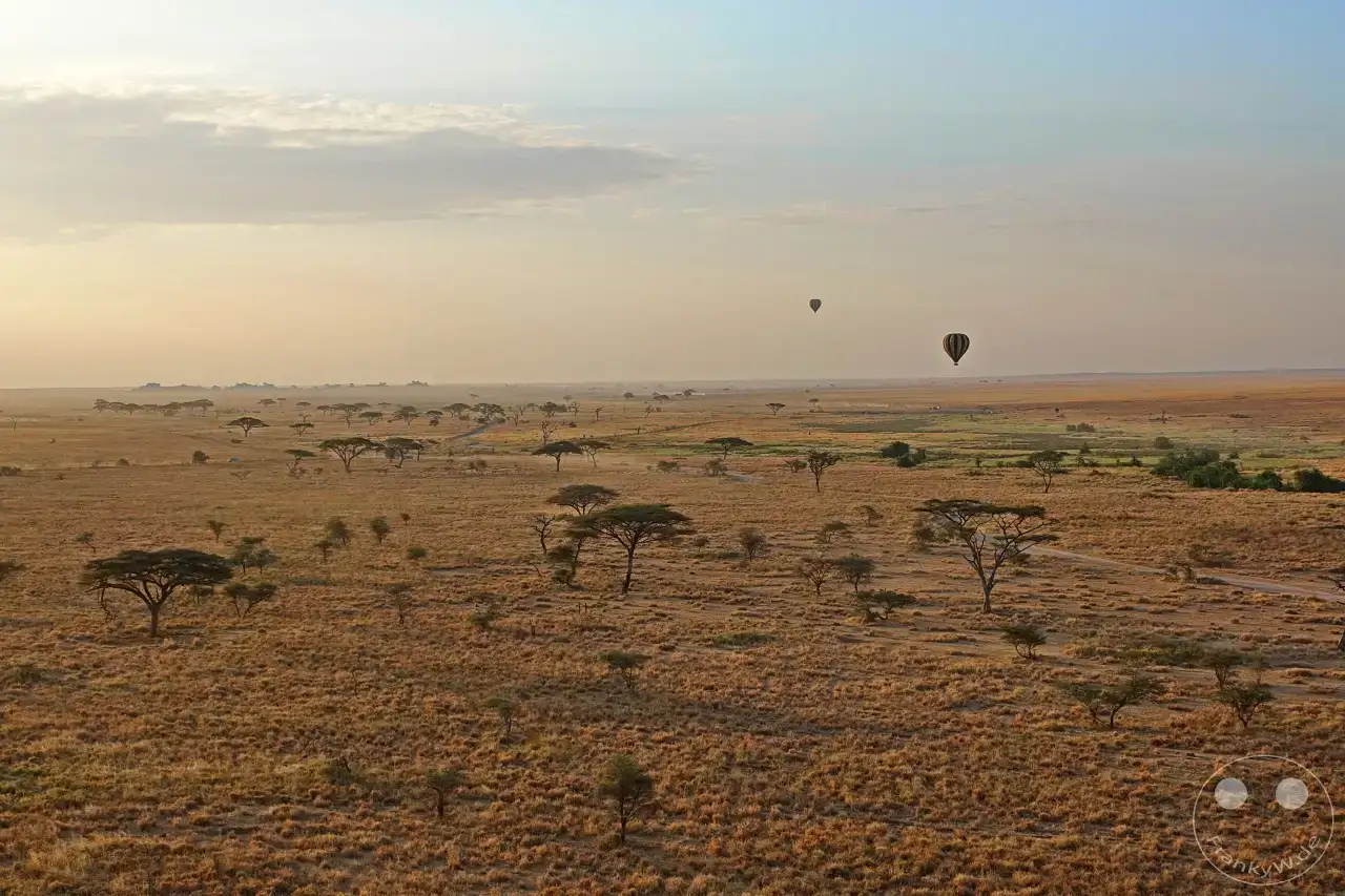 Tansania - Serengeti