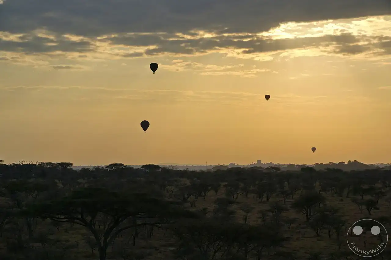 Tansania - Serengeti