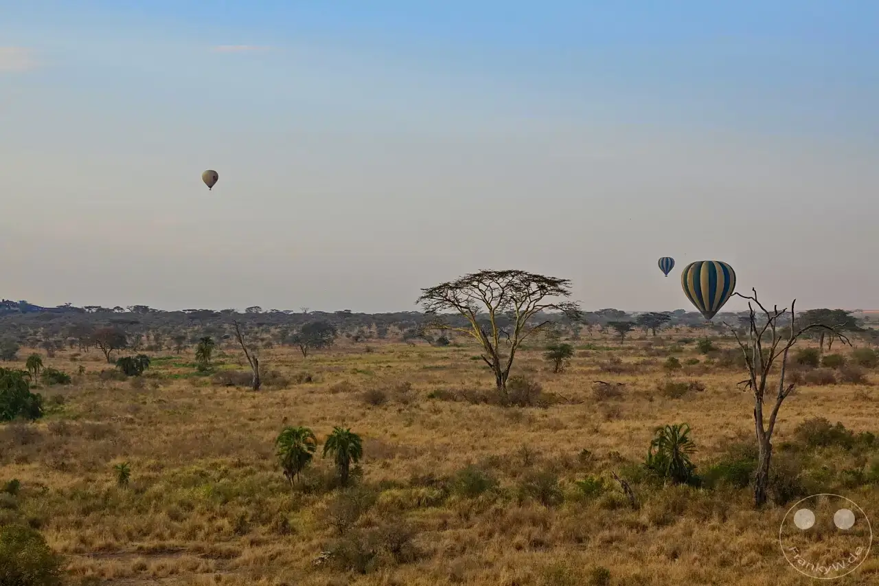 Tansania - Serengeti