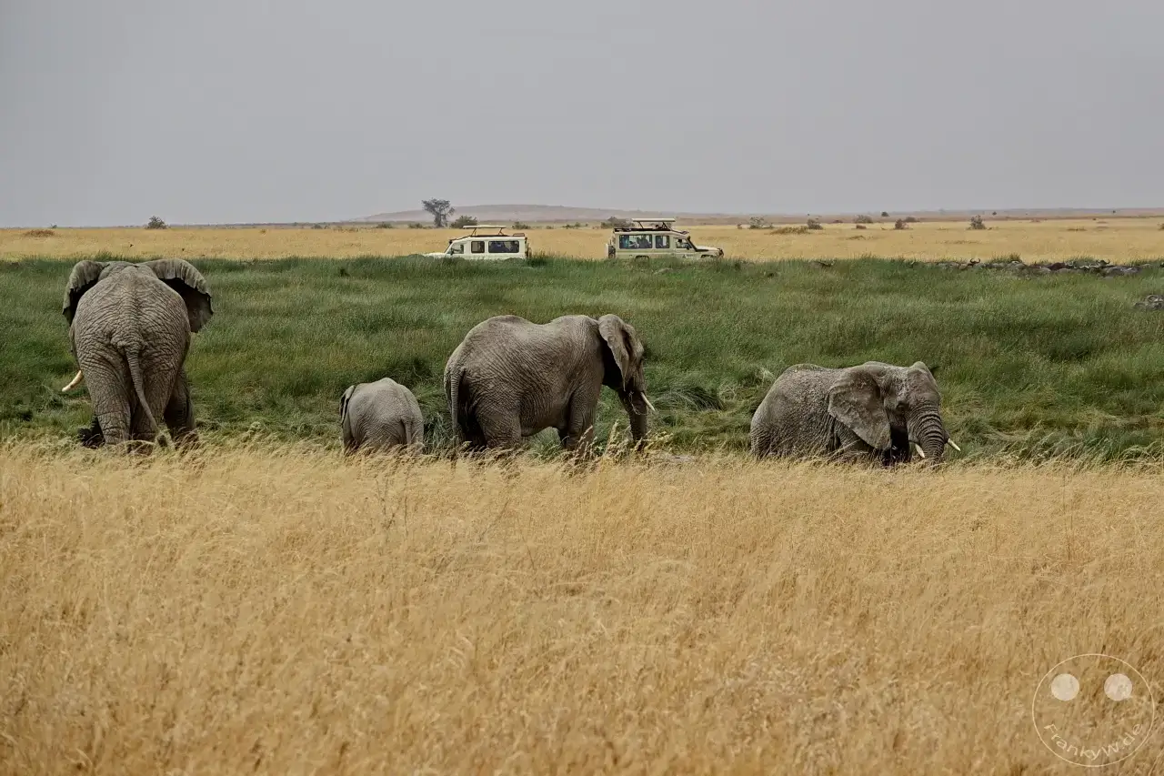Tansania - Serengeti