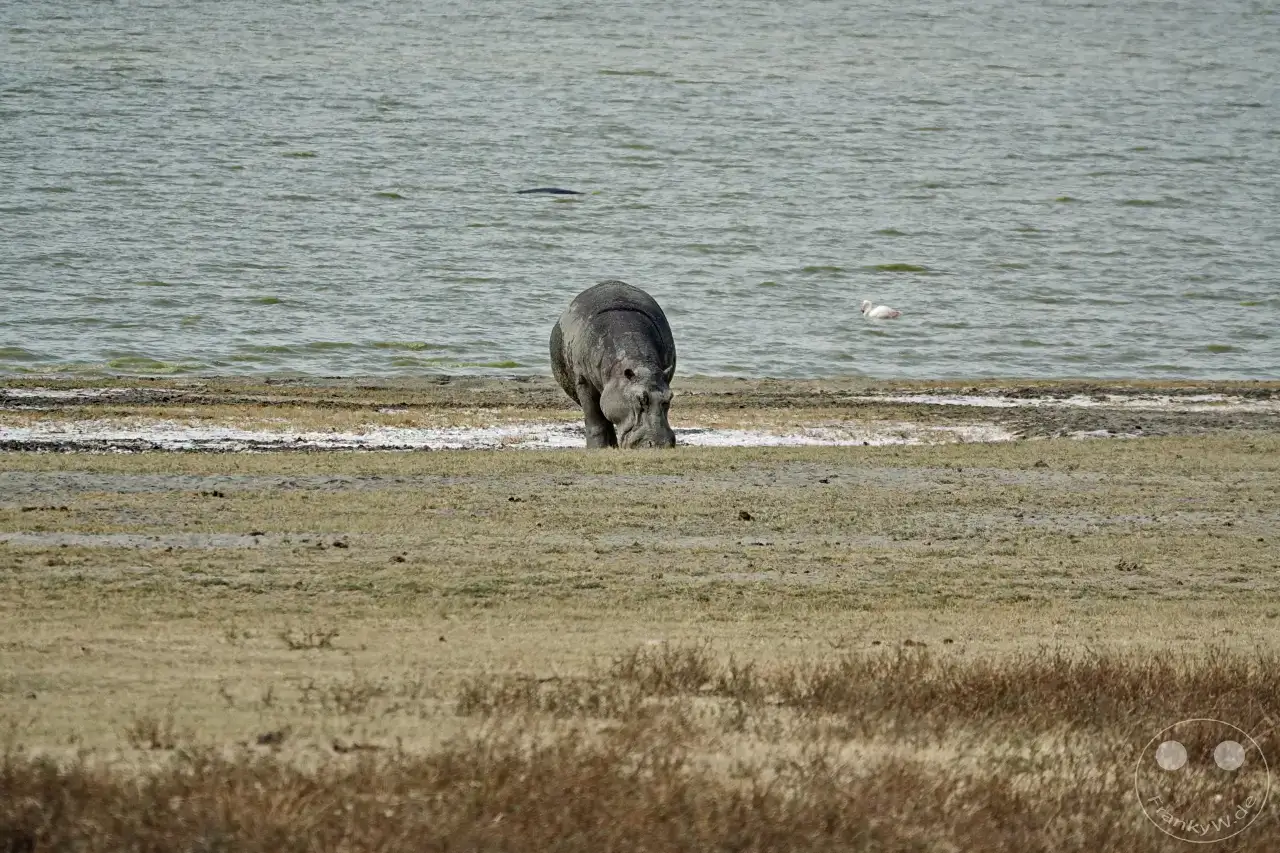 Tansania - Ngorongoro-Krater