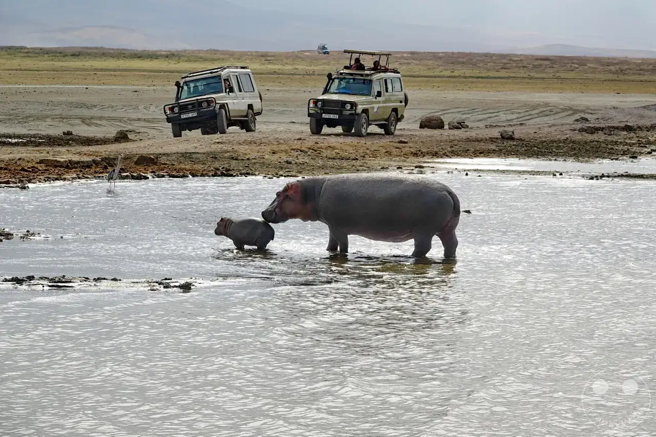 Tansania - Ngorongoro-Krater