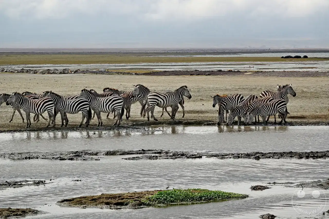 Tansania - Ngorongoro-Krater