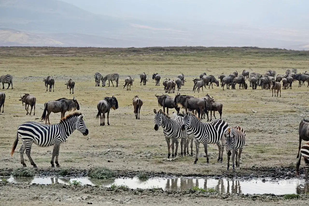 Tansania - Ngorongoro-Krater
