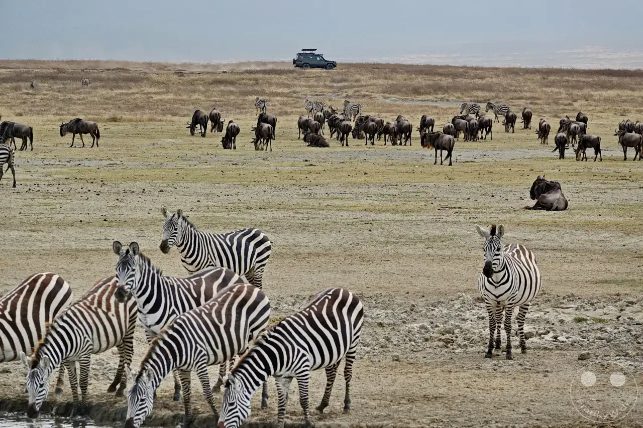 Tansania - Ngorongoro-Krater