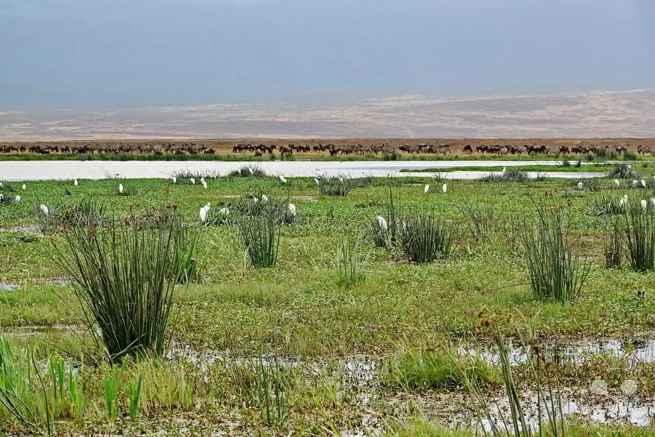 Tansania - Ngorongoro-Krater