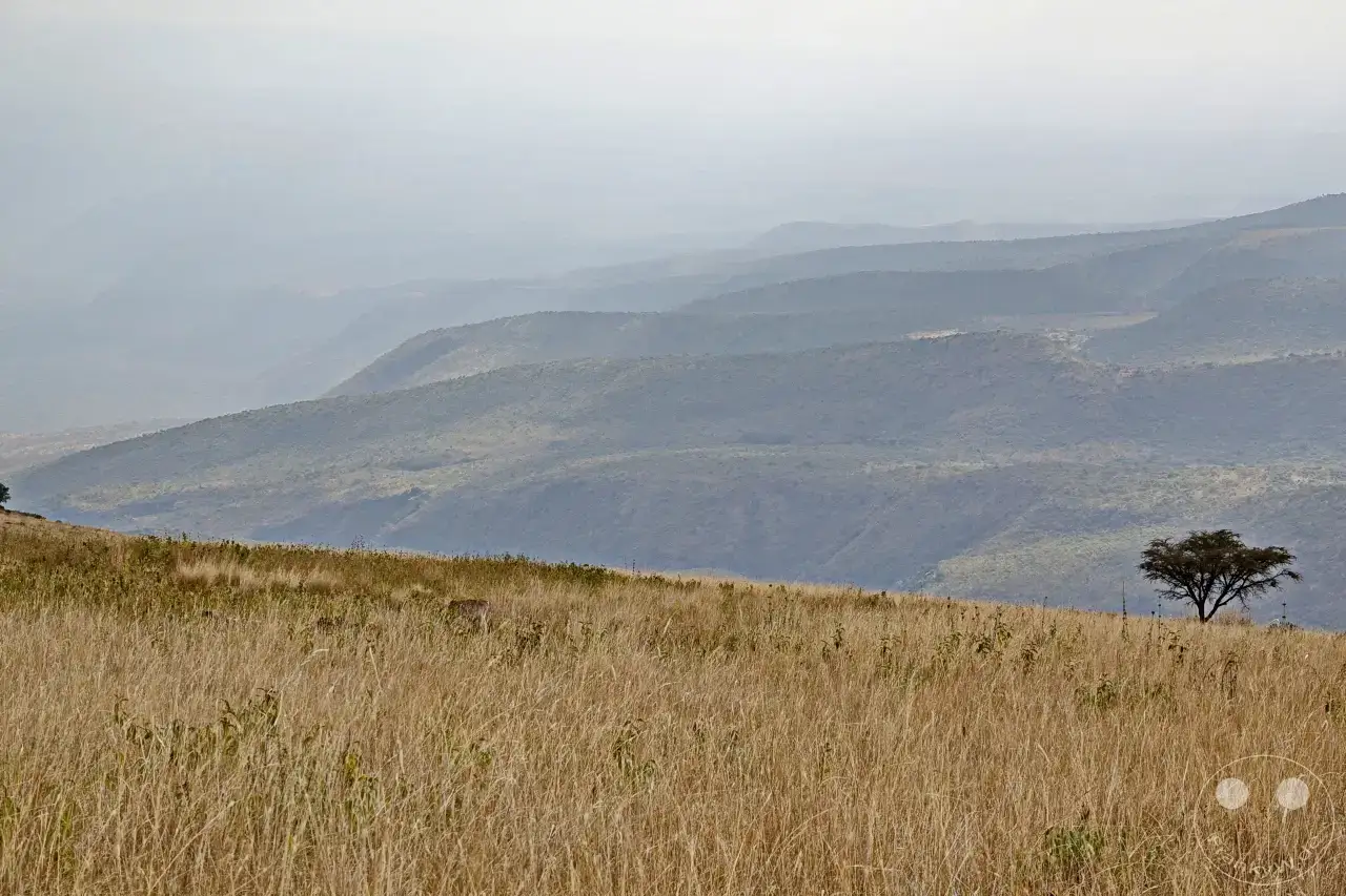 Tansania - Massai-Land