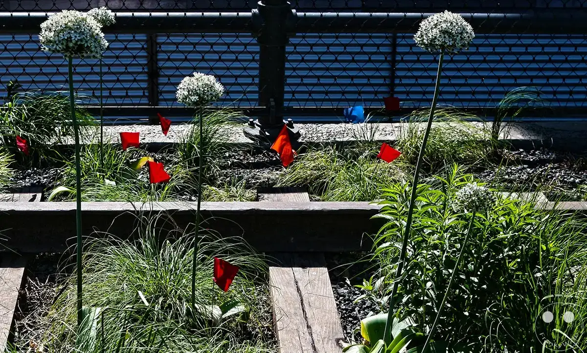 New York - High-Line - Schienen