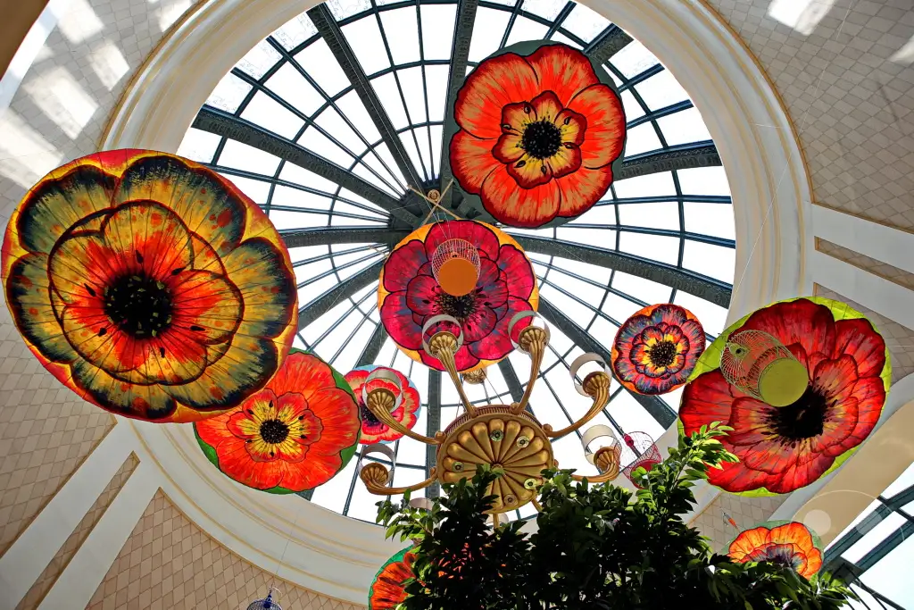 Nevada - Las Vegas