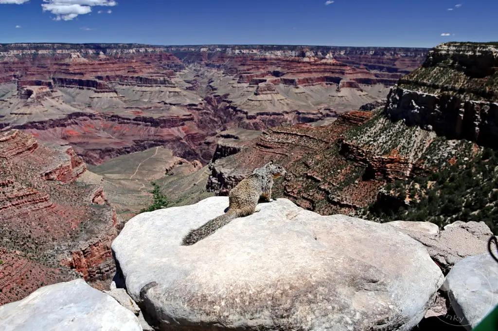Arizona - Grand Canyon
