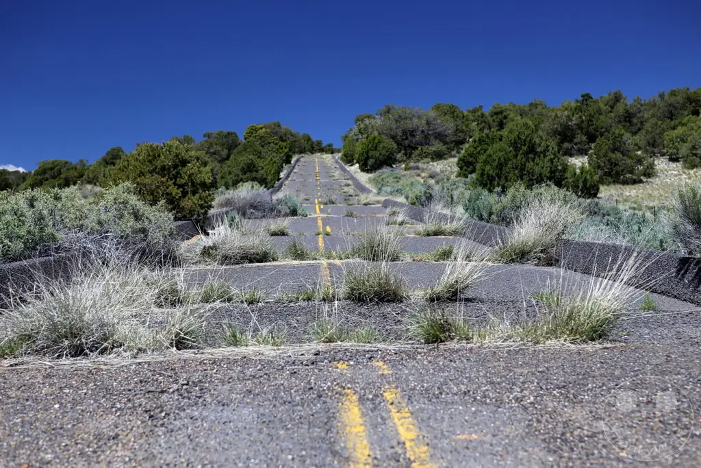 Arizona - Cameron