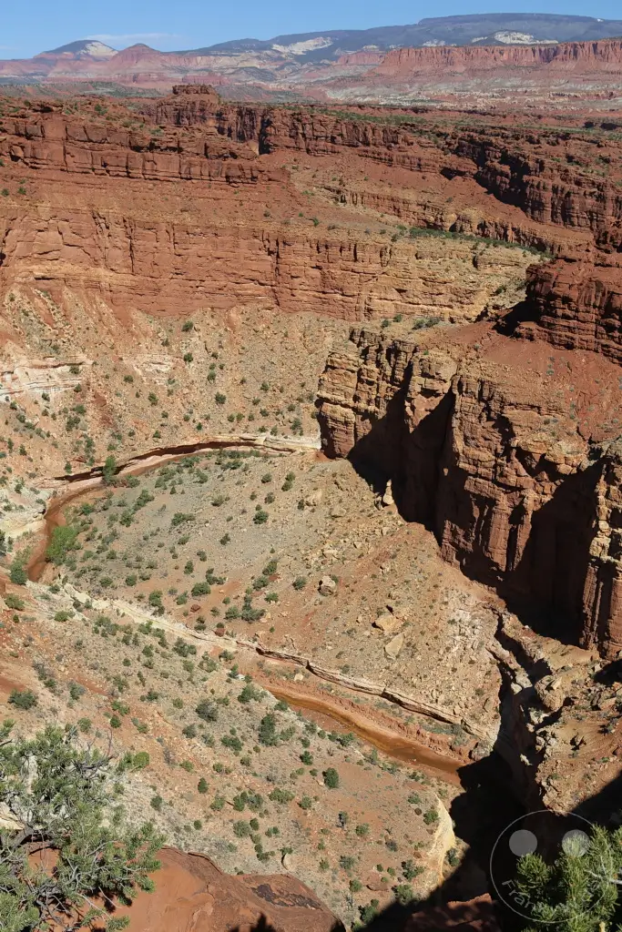 Utah - Goosenecks