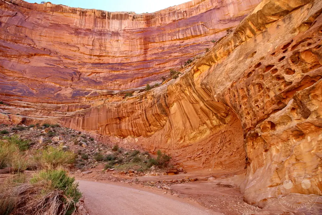 Utah - Capitol Gorge