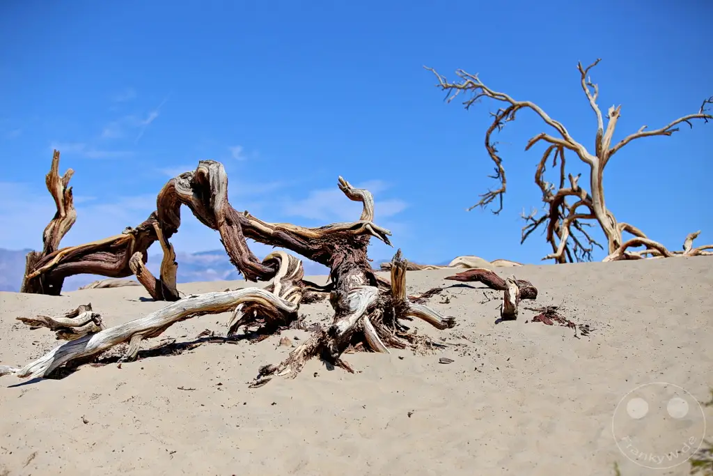 Kalifornien - Death Valley National Park