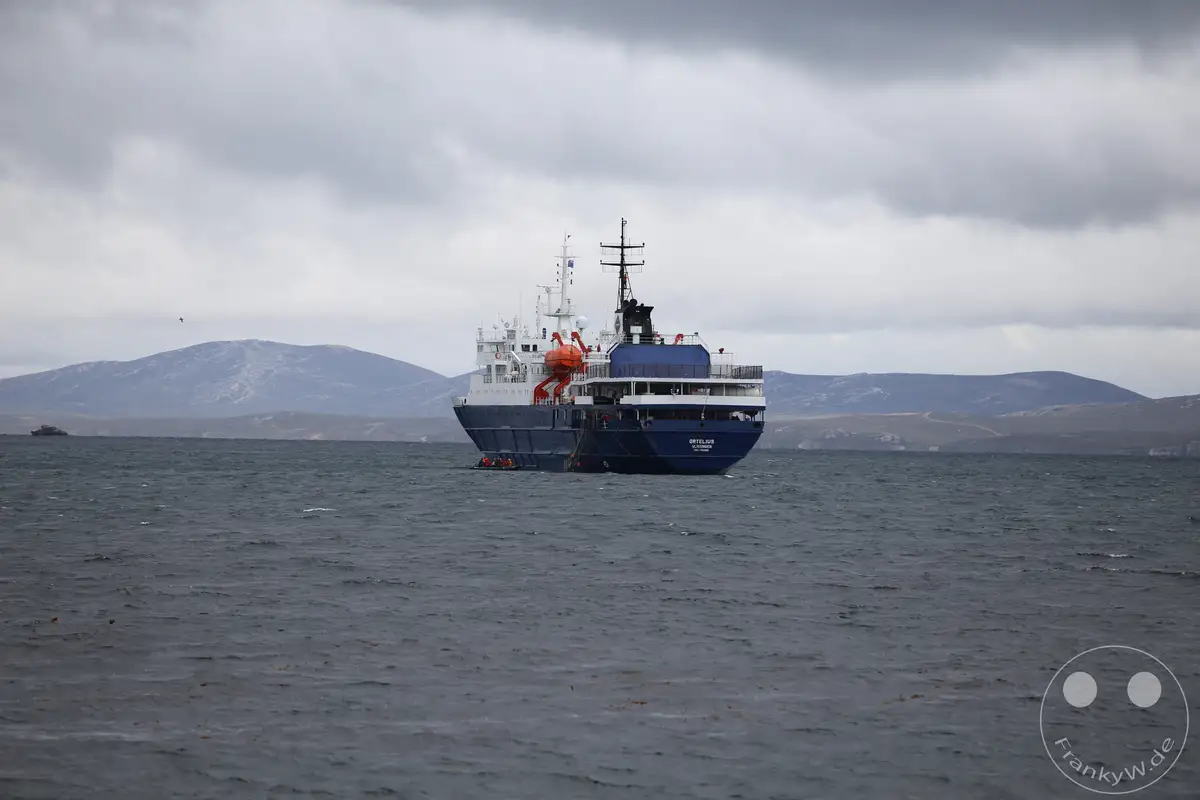Falklandinseln (Malvinen) - Carcass Island