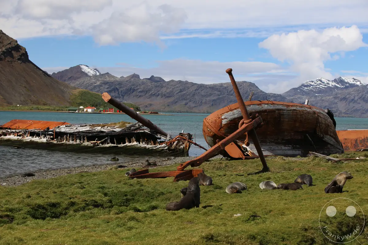 Südgeorgien und Südliche Sandwichsinseln - Grytviken