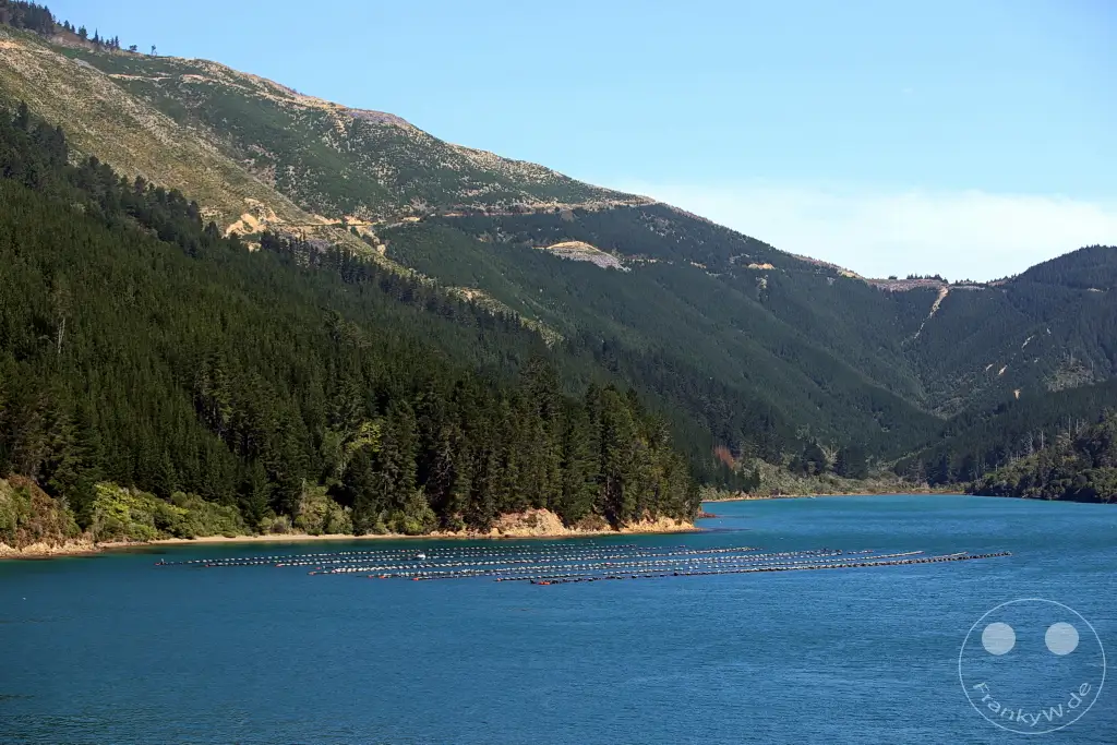 New Zealand South Island - Interislander Cook Strait Ferry - Queen Charlotte Sound