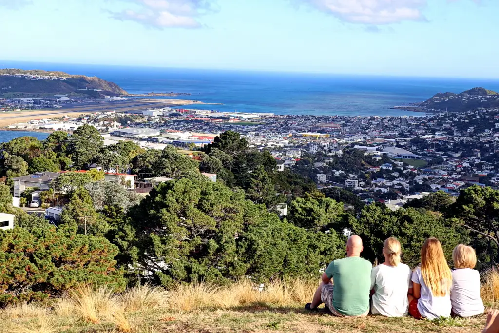 New Zealand North Island - Wellington - Mount Victoria Lookout