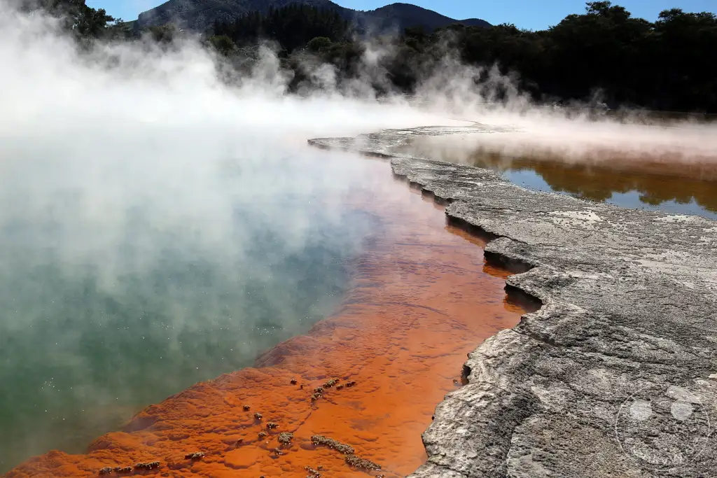 New Zealand North Island - Wai-O-Tapu - Thermal Wonderland