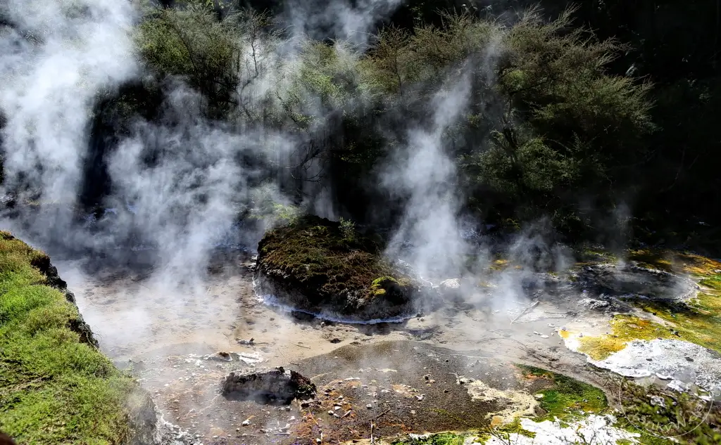 New Zealand North Island - Waimangu Volcanic Valley
