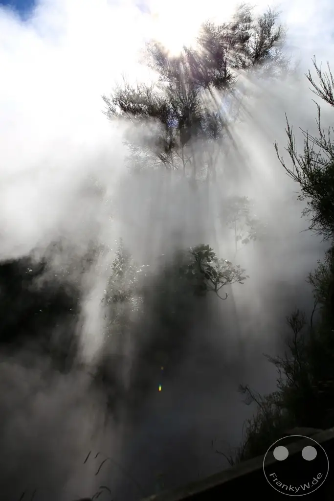 New Zealand North Island - Waimangu Volcanic Valley