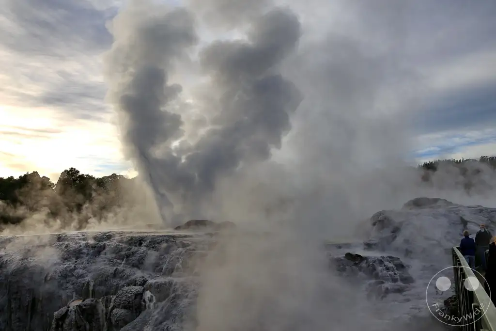 New Zealand North Island - Te Puia - Rotorua