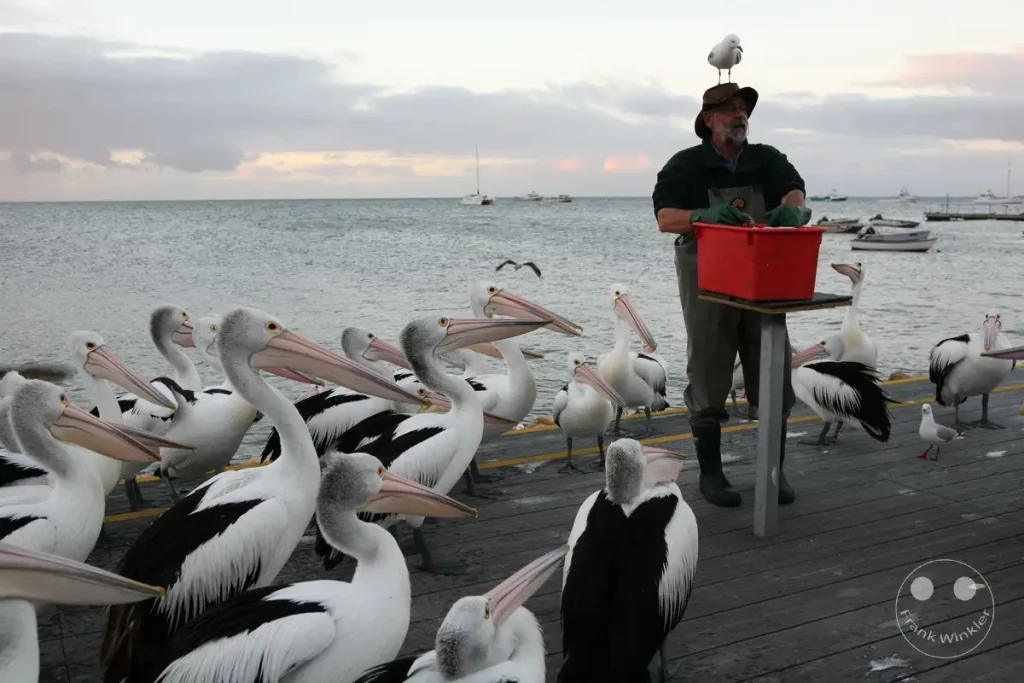 Australia - Kangaroo Island