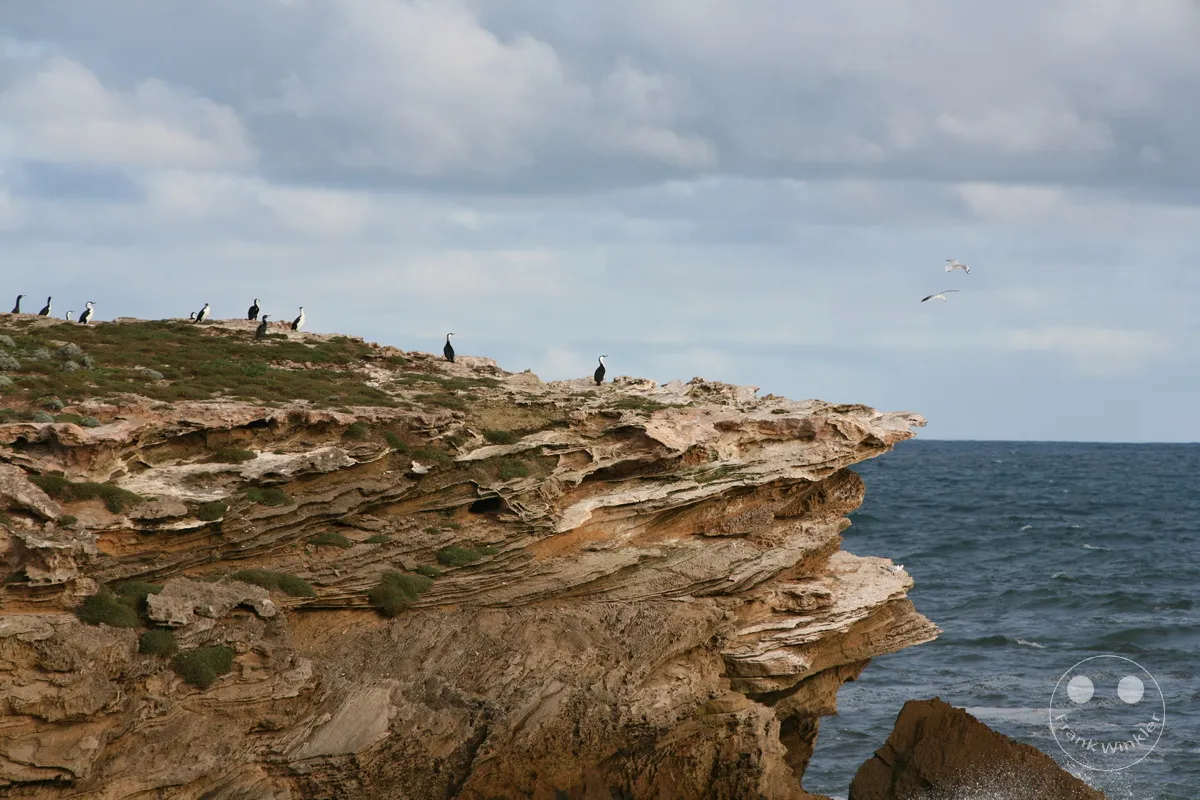 Australia - Warrnambool - Stingray Bay - Victoria