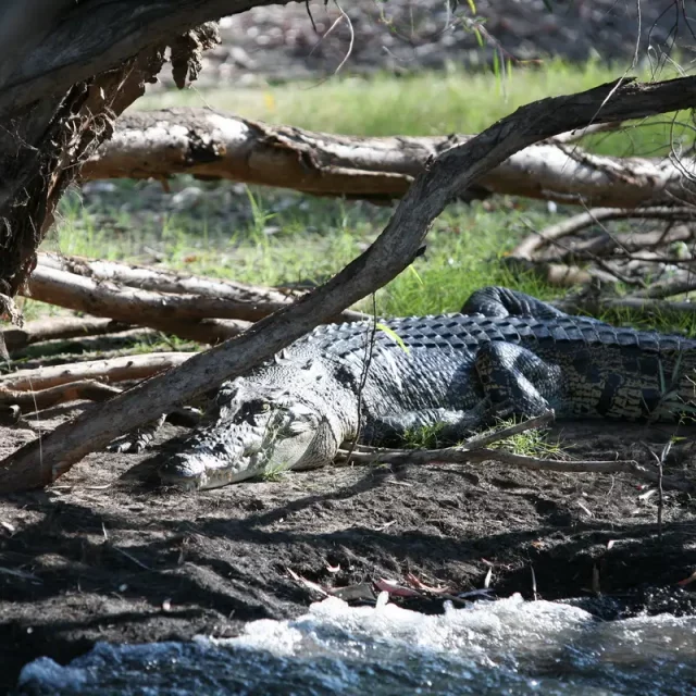 Australia - Nothern Territory - Kakadu Nationalpark
