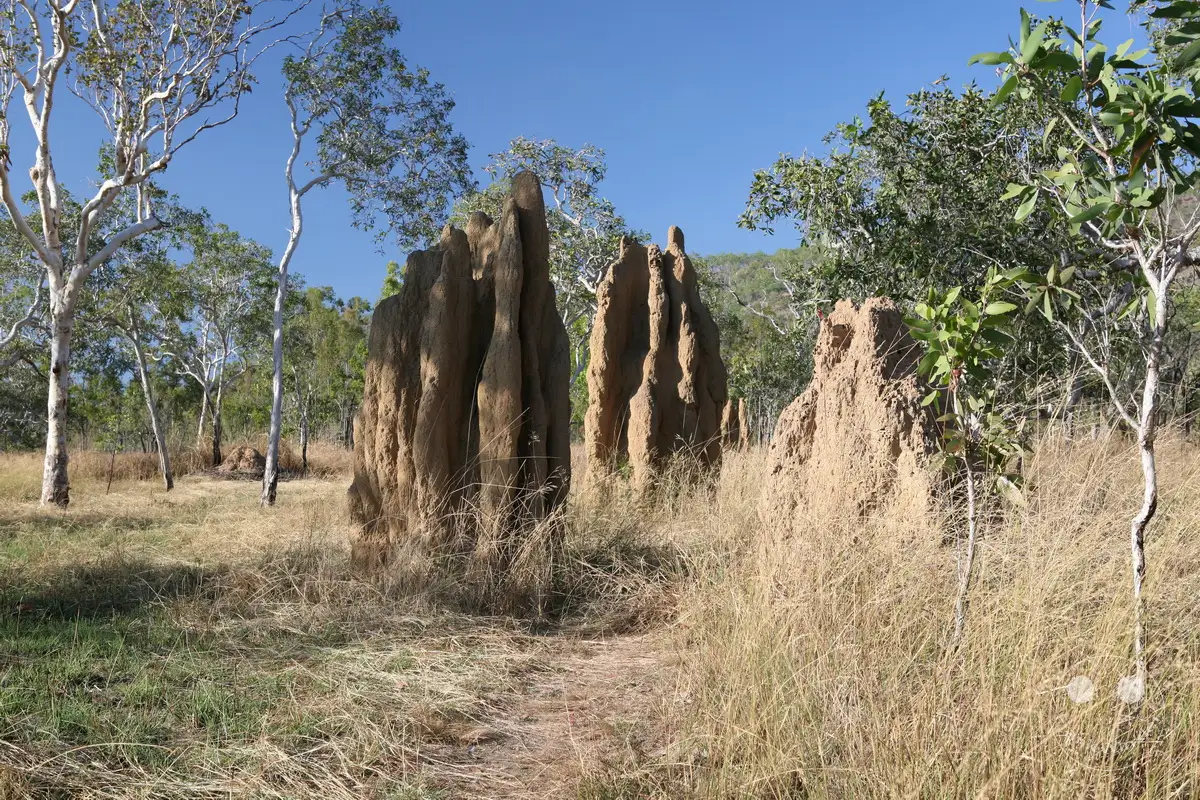 Australia - Nothern Territory - Kakadu Nationalpark