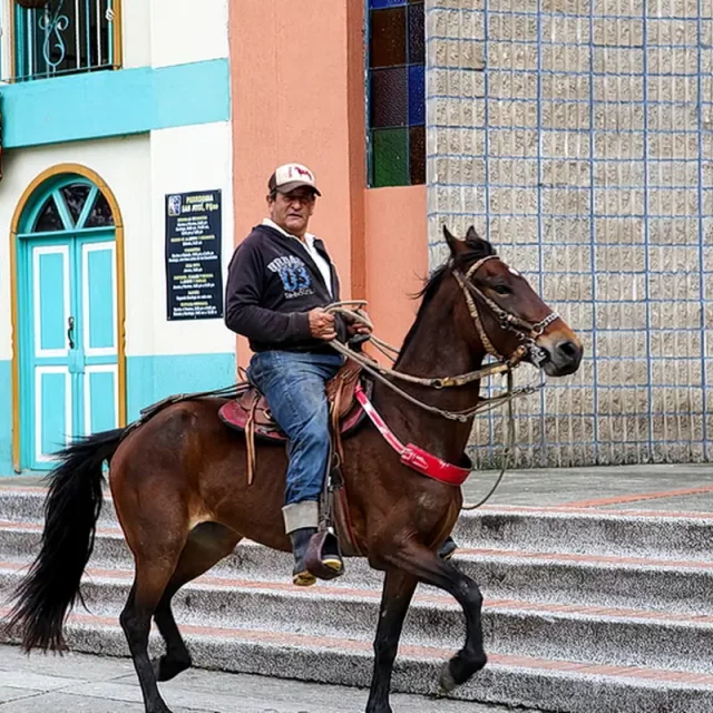 Kolumbien - Kaffeezone - Pijao - Paso Fino