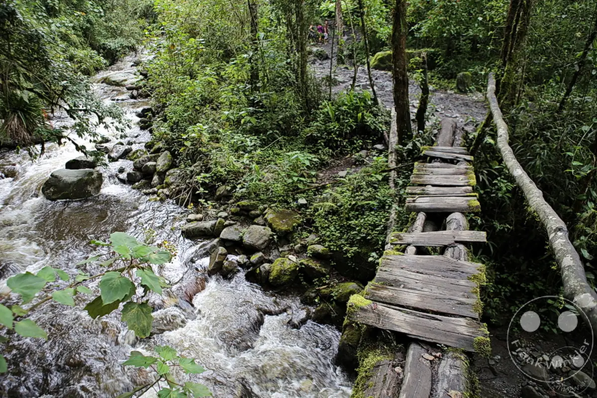 Kolumbien - Kaffeezone - Salento - Nebelwaldgebiet - Parque Nacional de los Nevados