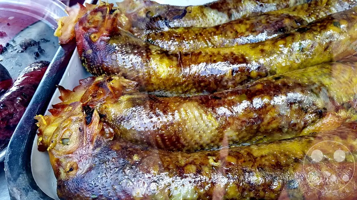 Kolumbien - Restaurante Los Reyes - gefuellter Huehnerhals - Spezialitaet