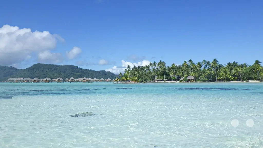 French Polynesia - Tahaa - Motu Tautau - Coral Garden