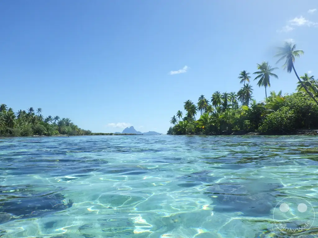 French Polynesia - Tahaa - Motu Tautau - Coral Garden