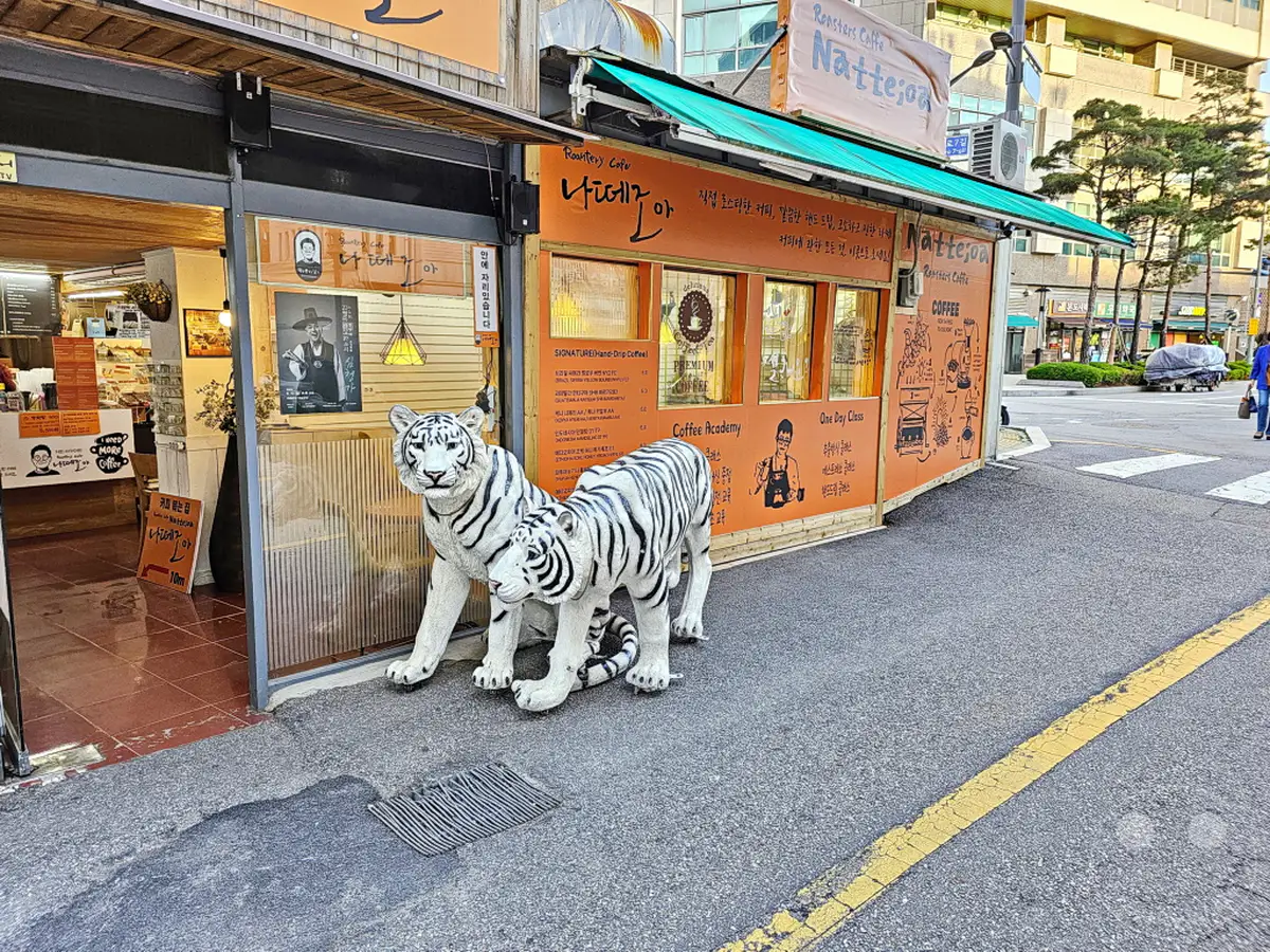 Vor dem "Roaster Caffe Nattejoa" in Seoul, Südkorea, stehen zwei dekorative Tigerfiguren auf dem Gehweg. Das Café mit seinem markanten orangefarbenen Design lädt zum Verweilen ein. Die Szene vermittelt eine freundliche und einladende Atmosphäre, die von den auffälligen Dekorationen geprägt ist.