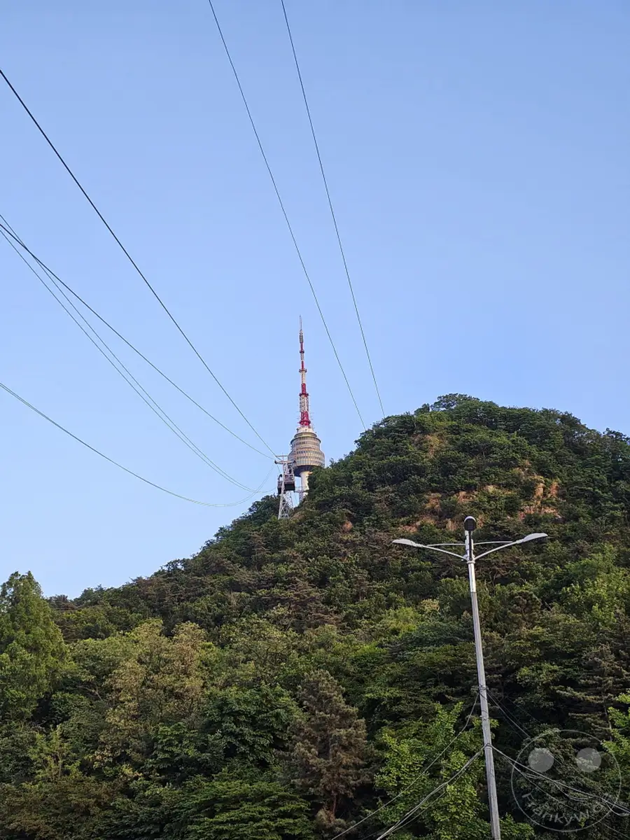 Südkorea, Seoul: Die Namsan Seilbahn führt hinauf zum Namsan Tower, der sich majestätisch auf einem bewaldeten Berg erhebt. Ein klarer Himmel bildet die Kulisse für diese beeindruckende Aufnahme, die die natürliche Schönheit der Umgebung mit der städtischen Ikone verbindet. Die Szenerie strahlt Ruhe und Erhabenheit aus, während die Seilbahnkabel sich spannen.