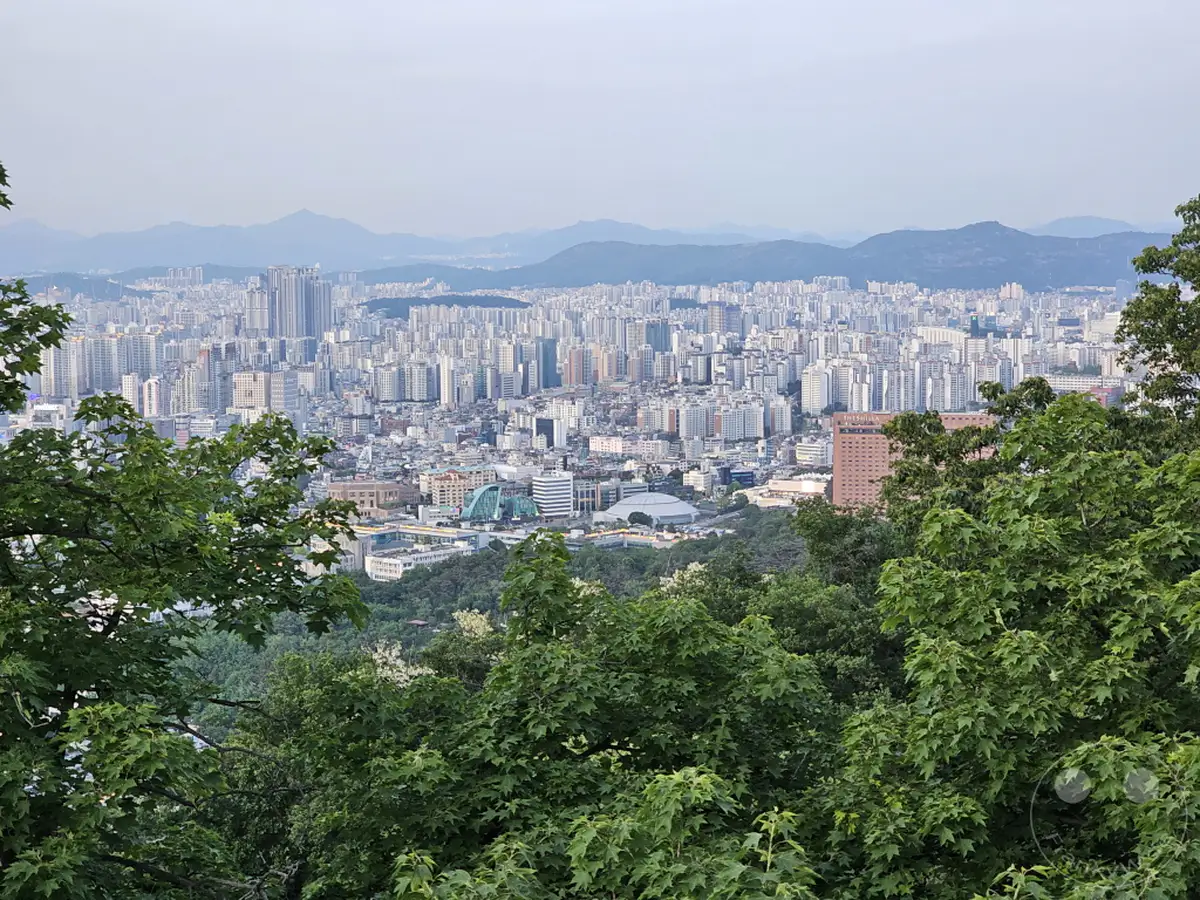 Ein weitläufiger Blick über das dichte Stadtbild von Seoul, Südkorea, erstreckt sich bis zu den sanften Hügeln am Horizont. Die Aufnahme vermittelt einen Eindruck von der schieren Größe und Dichte der Metropole, die von üppigem Grün vor dem Vordergrund eingerahmt wird. Die graue, bewölkte Atmosphäre verleiht dem Panorama eine ruhige und leicht melancholische Stimmung.
