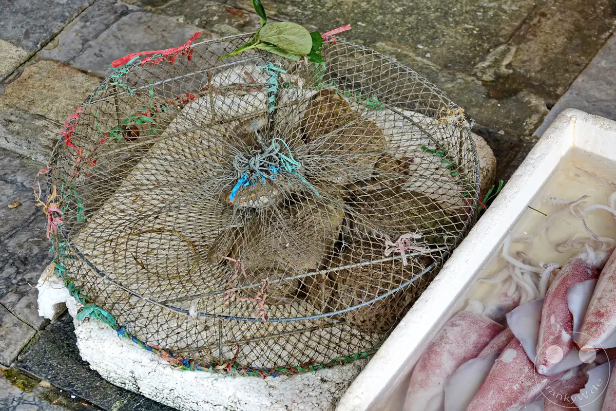 Auf einem Markt im Old Quarter die Altstadt von Hanoi in Vietnam werden frische Tintenfische in einer Styroporkiste präsentiert. Daneben befindet sich ein Fangkorb aus Drahtgeflecht, der vermutlich lebende Frösche oder andere Kleintiere enthält, gesichert mit bunten Schnüren. Die Szene vermittelt einen authentischen Eindruck vom täglichen Handel auf einem asiatischen Markt.