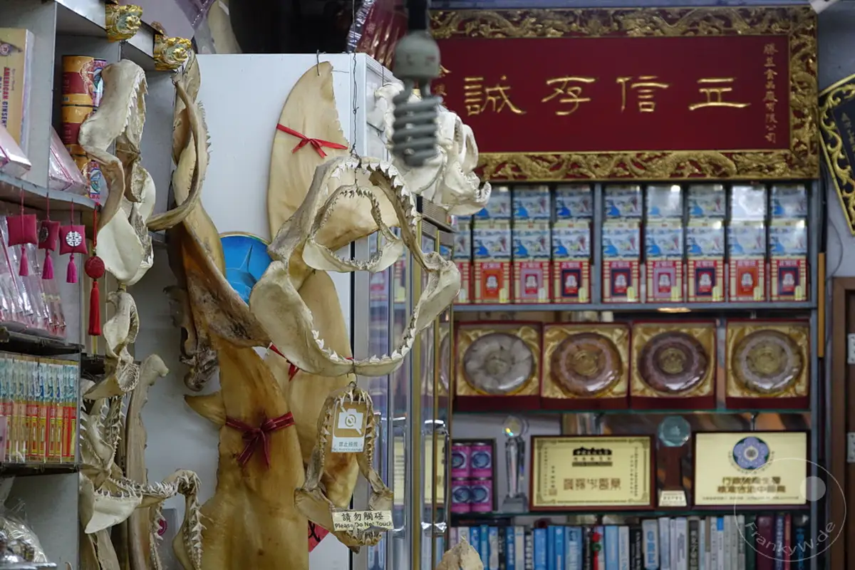 In einem Geschäft in Taipehs historischer Dihua Street werden traditionelle Produkte wie Haifischflossen und Naturprodukte zum Verkauf angeboten. Die Auslage zeigt eine Mischung aus getrockneten Fischprodukten und verpackten Waren, was auf ein reiches kulturelles Erbe und Handelsgeschichte hinweist. Die Szene vermittelt einen Einblick in die authentische Atmosphäre eines traditionellen Marktes in Taiwan.