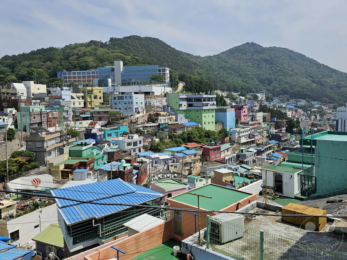 Ein lebhaftes Panorama des weltberühmten Culture Village Gamcheon in Busan, Südkorea, offenbart sich mit seinen charakteristischen bunten Häusern, die sich an die steilen Hänge schmiegen. Die dicht gedrängte Bebauung bildet einen faszinierenden Kontrast zur üppig grünen Bergkulisse im Hintergrund. Die Szenerie strahlt eine Atmosphäre von lebendiger Gemeinschaft und kultureller Vielfalt aus.