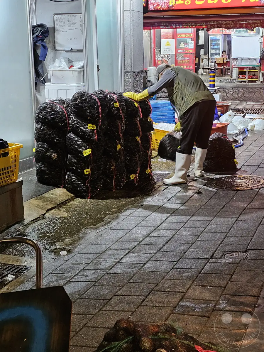 In Südkorea, auf dem Jagalchi Market in Busan, wird nachts auf dem nassen Boden vor einem Geschäft gearbeitet. Große Mengen an Fisch in Netzsäcken liegen bereit, und ein Mitarbeiter in Gummistiefeln sortiert die Ware. Die Szene vermittelt einen Eindruck von der geschäftigen Betriebsamkeit eines Fischgroßmarktes im späten Betrieb.