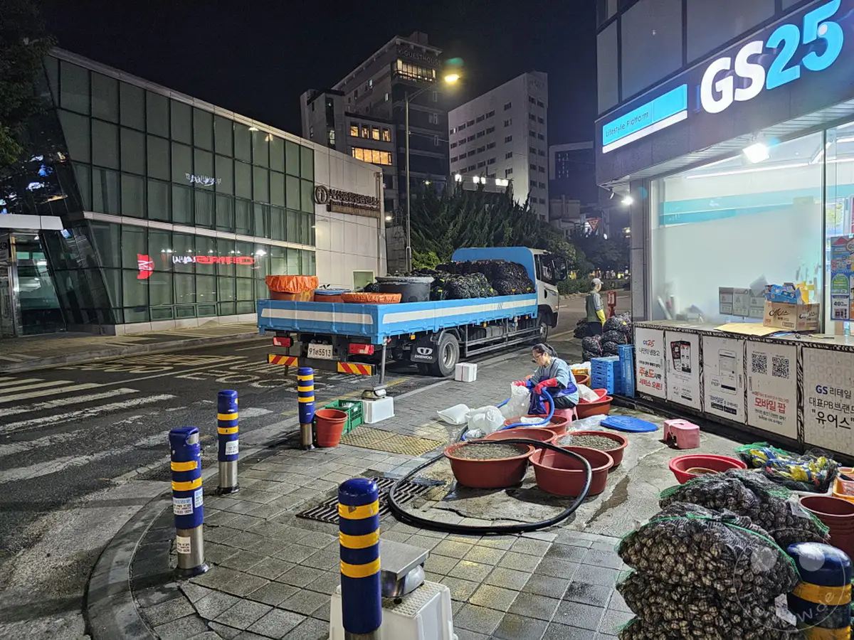 In Südkorea, in der Nähe des Jagalchi Market in Busan, findet Nachtarbeit statt. Ein Lieferwagen steht bereit, um gefüllte Säcke mit Fisch oder Meeresfrüchten abzutransportieren. Eine Person sortiert das Fanggut in großen Bottichen, während die Umgebung nächtlich beleuchtet ist.