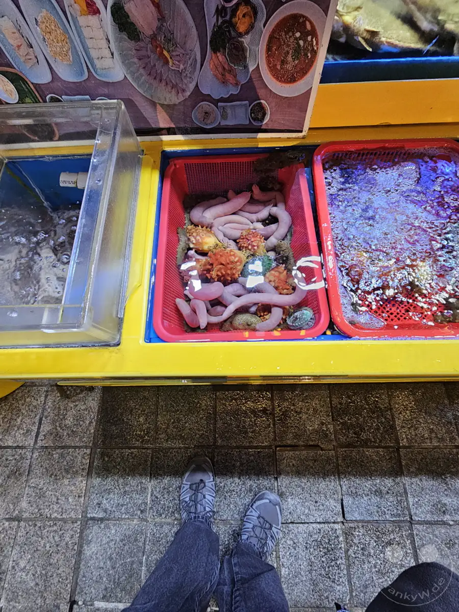 Die bunten Stände des Jagalchi Market in Busan, Südkorea, präsentieren eine Fülle an frischem Fisch und Meeresfrüchten in verschiedenen Becken. In einem roten Korb liegen auffällig rosafarbene Meeresfrüchte, umgeben von kleineren, orangen Exemplaren, während daneben Wasser in einem anderen Becken leuchtet. Der lebhafte Marktplatz lädt dazu ein, die kulinarischen Schätze des Meeres zu entdecken und die authentische Atmosphäre zu erleben.