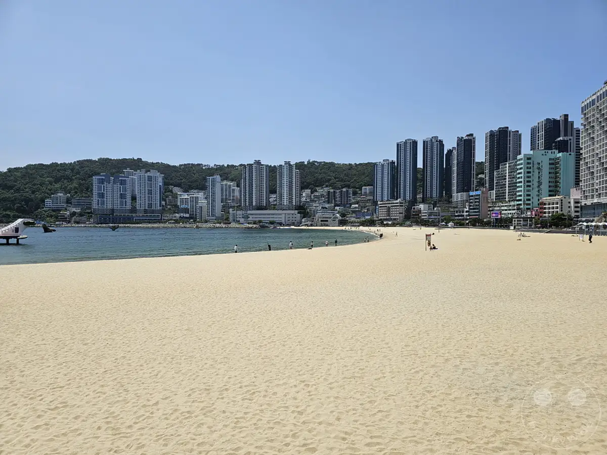 Die weitläufige Sandfläche von Songdo Beach in Busan erstreckt sich im Vordergrund. Im Hintergrund erhebt sich eine beeindruckende Stadtkulisse mit zahlreichen Hochhäusern, die sich vor dem ruhigen Meer abzeichnet. Der klare Himmel und das sonnige Wetter schaffen eine friedliche und einladende Atmosphäre an diesem beliebten Küstenabschnitt in Südkorea.