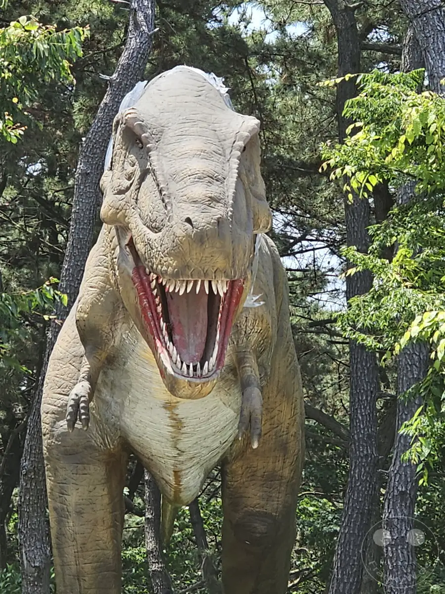 Ein lebensgroßes Modell eines Tyrannosaurus Rex steht mit geöffnetem Maul inmitten von Bäumen im Songdo Sky Park in Busan, Südkorea. Die aufwendige Darstellung des Dinosauriers erzeugt eine eindrucksvolle und prähistorische Atmosphäre. Dieser Park bietet eine einzigartige Mischung aus Natur und faszinierenden Exponaten.
