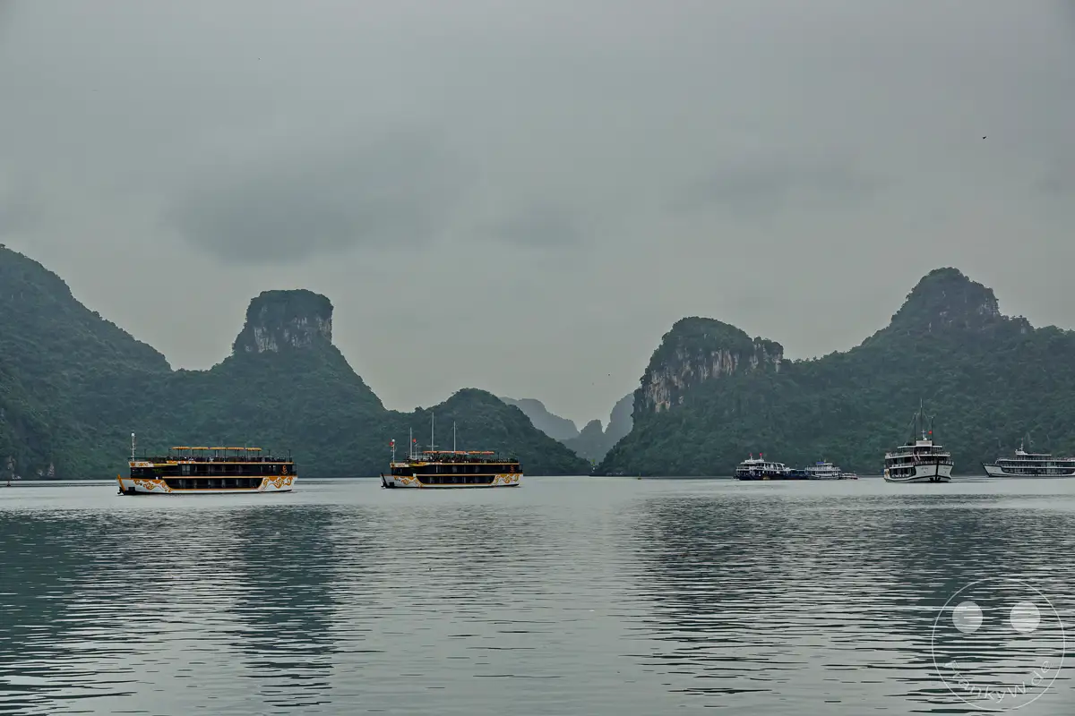 Mehrere traditionelle Dschunken gleiten durch die neblige Ha Long Bucht in Vietnam, während sich im Hintergrund majestätische Karstfelsen aus dem grauen Dunst erheben. Das ruhige Wasser spiegelt die gedämpften Farben der Landschaft und der Boote wider. Eine mystische und friedliche Atmosphäre wird durch die diffuse Beleuchtung und die sanften Wellen erzeugt.